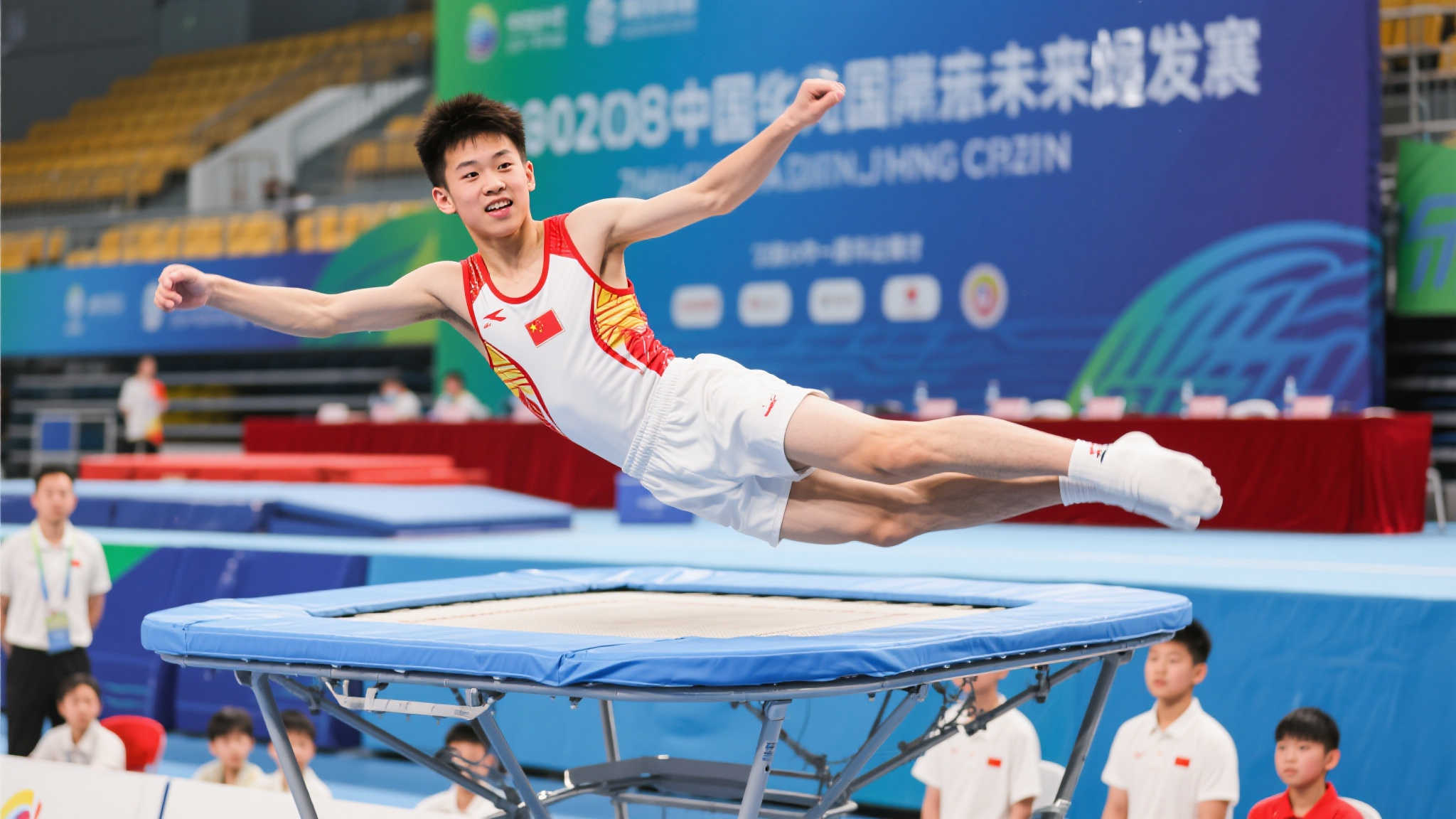 的整体实力 的整体实力